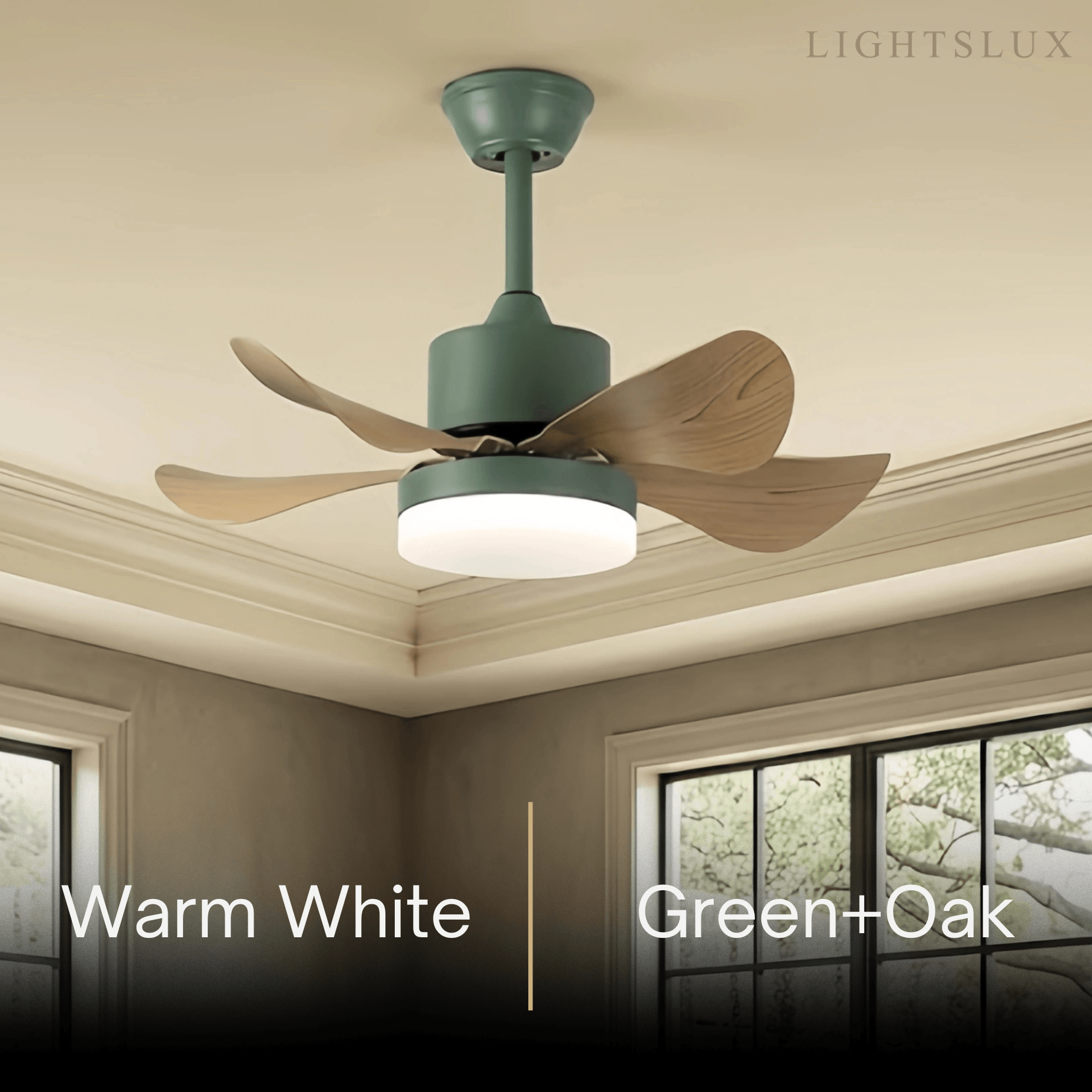 Zenno Minimalist Ceiling Fan Light